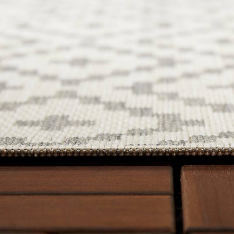Cassady Diamond Trellis Indoor/Outdoor Area Rug