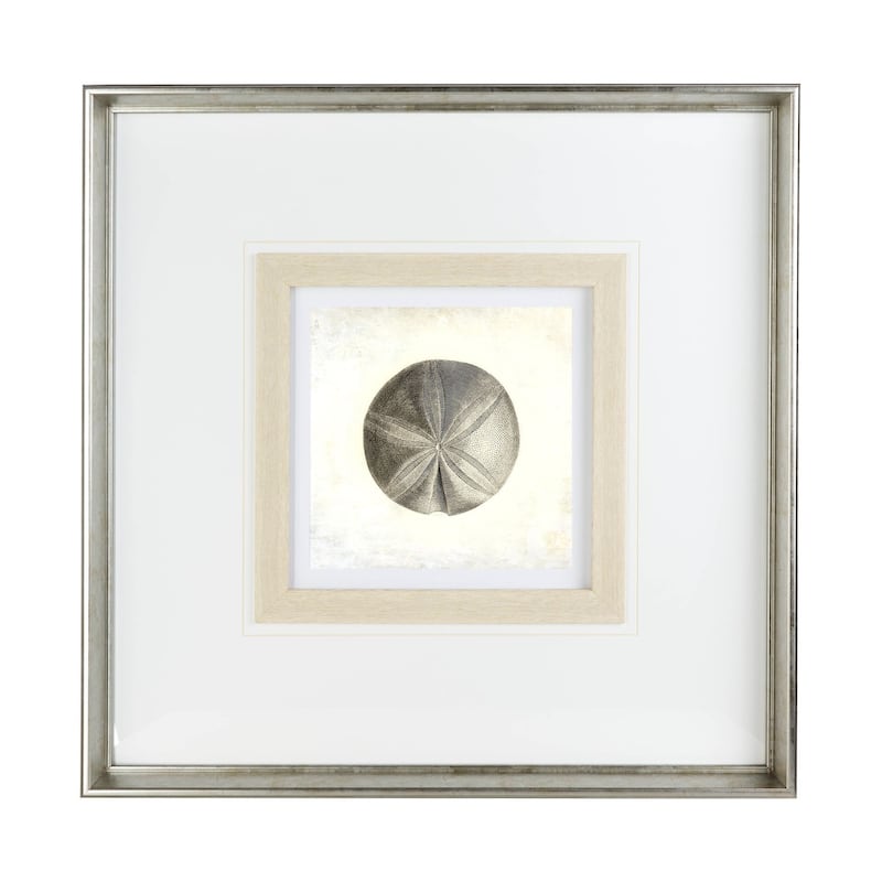 Vintage Sand Dollar Framed Art Print