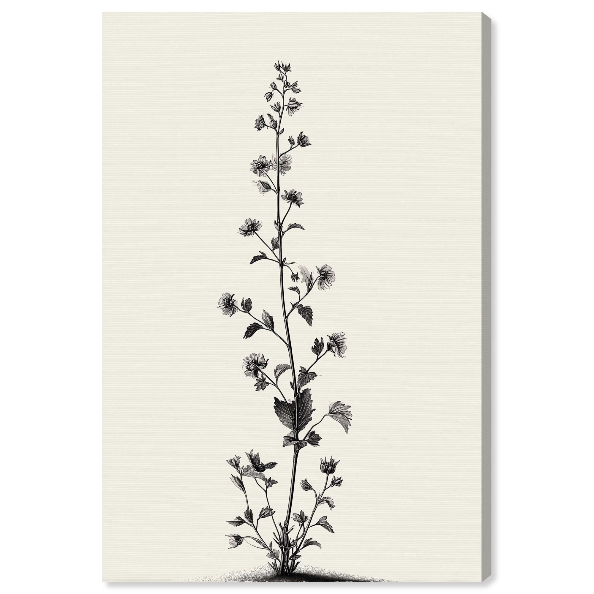 Echo of a Stem II Floral Wall Decor Wrapped Canvas Print by Art Remedy