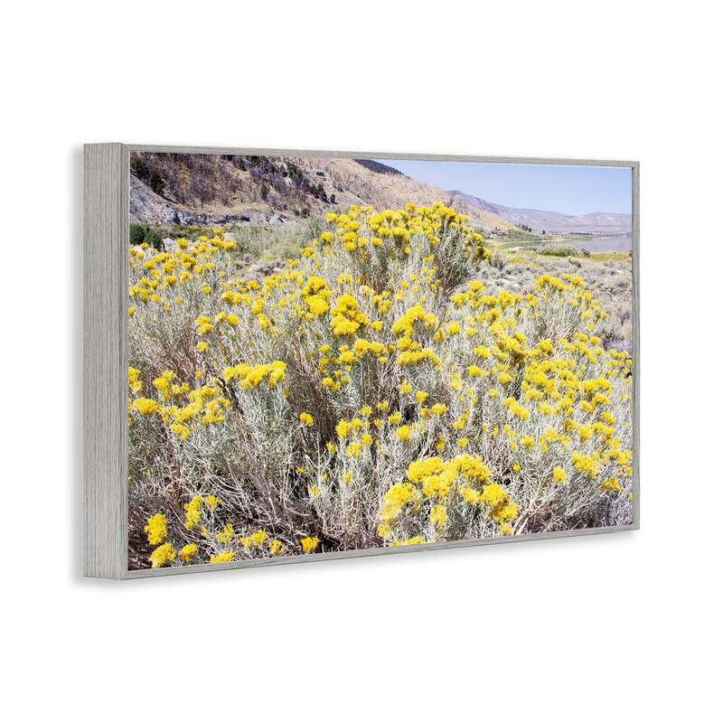 Stupell Yellow Flowers in Arid Meadow Framed Giclee Art Design By Gemma Bardot