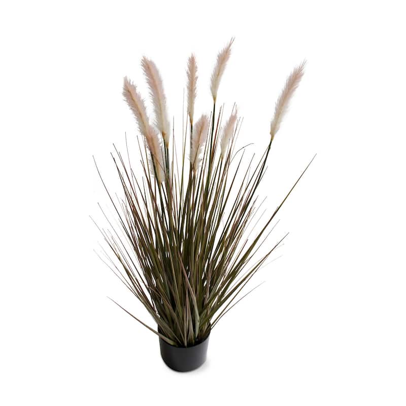 Foxtail Grass