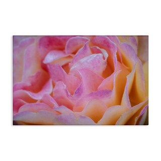 Stupell Pink Floral Petals Palette Canvas Wall Art Design by James ...