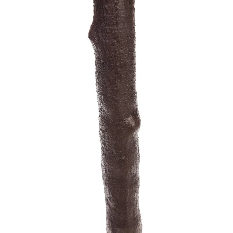 Fall Eucalyptus Tree 6'