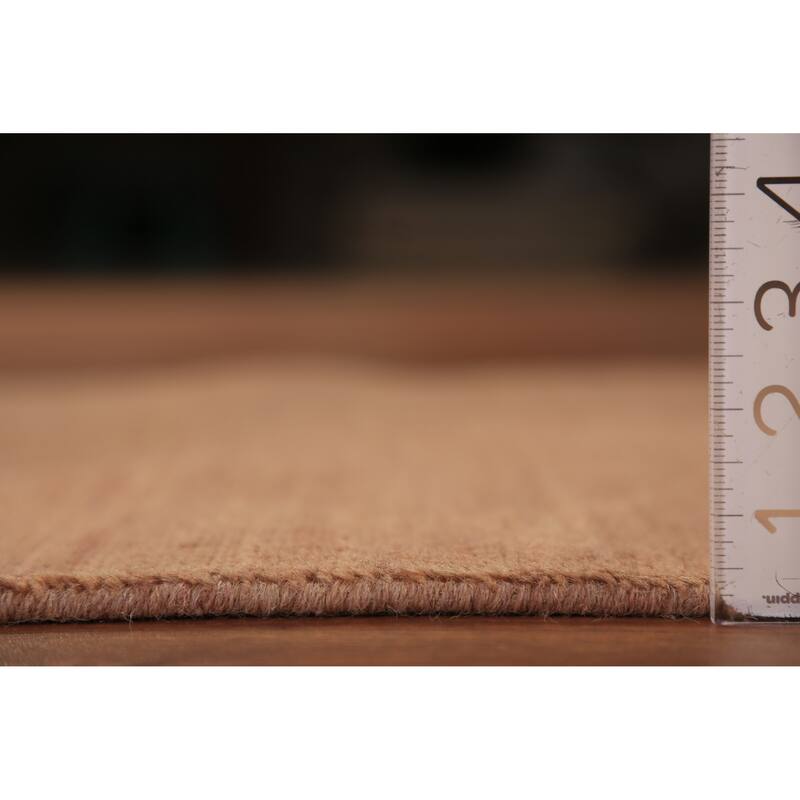 Gabbeh Oriental Rug Hand-Knotted Brown Wool Carpet - 2'6" x 4'4"