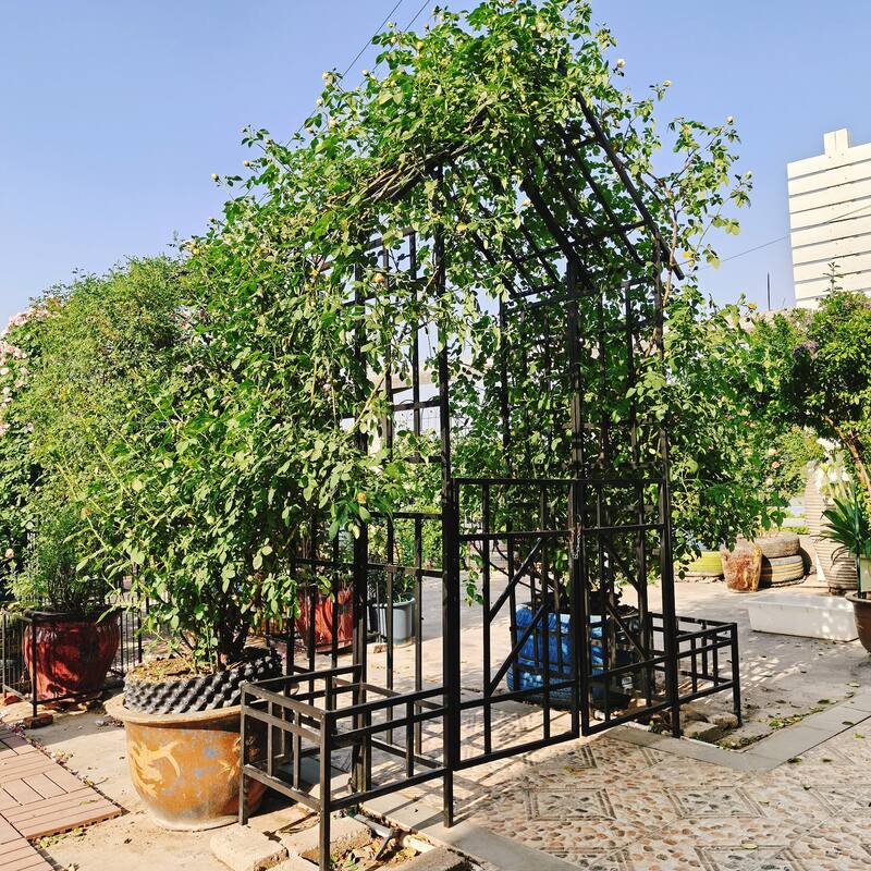 Metal Garden Arch with Gate with planter W80.71*H97.24 Climbing Plants Support Rose Arch Outdoor
