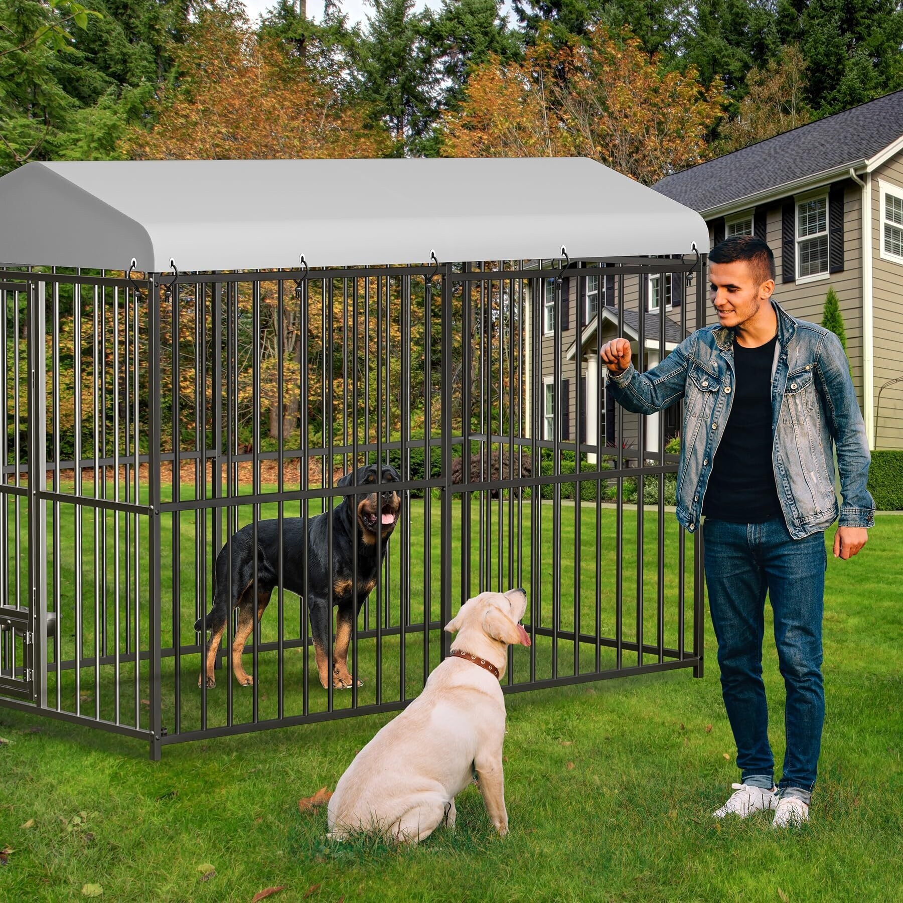 Outdoor dog kennel large breed best sale