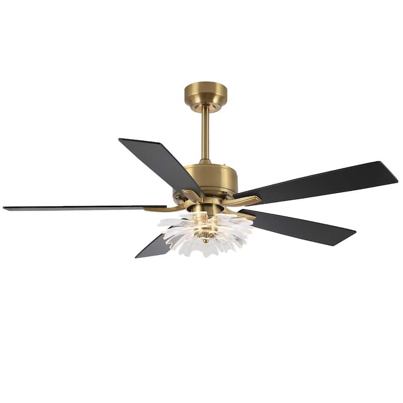 52" Modern Gold Acylic Flower Diammable Ceiling Fan with Light and Remote