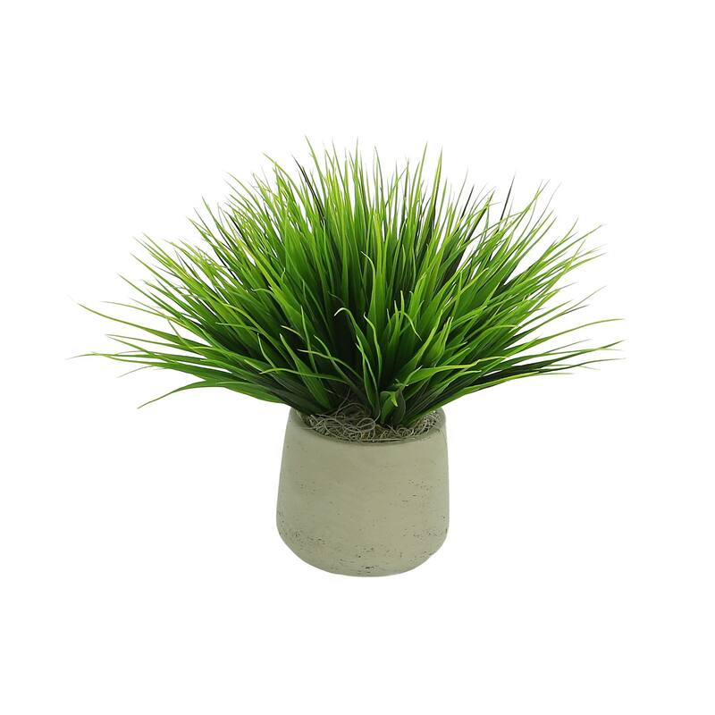 Vanilla Grass Arranged in a Fiberstone Pot - Green