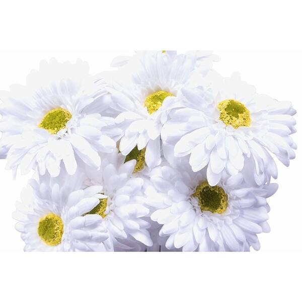 Shop Craftmore White Gerbera Daisy Stems 14 Inch Set Of 12 Free Shipping On Orders Over 45 Overstock 27721802