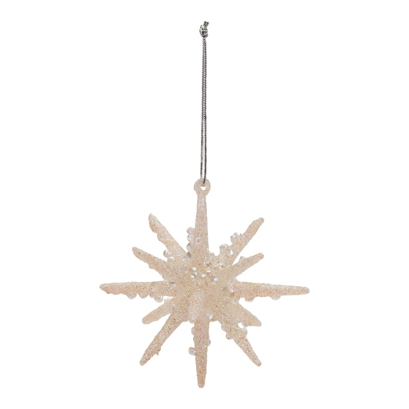 Frosted Glass Star Ornament (Set of 6)