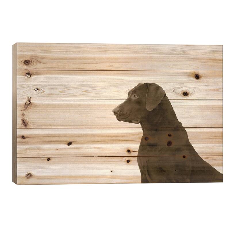 I See You Print On Wood by Jim Dratfield - Multi-Color - 18x26x1.5