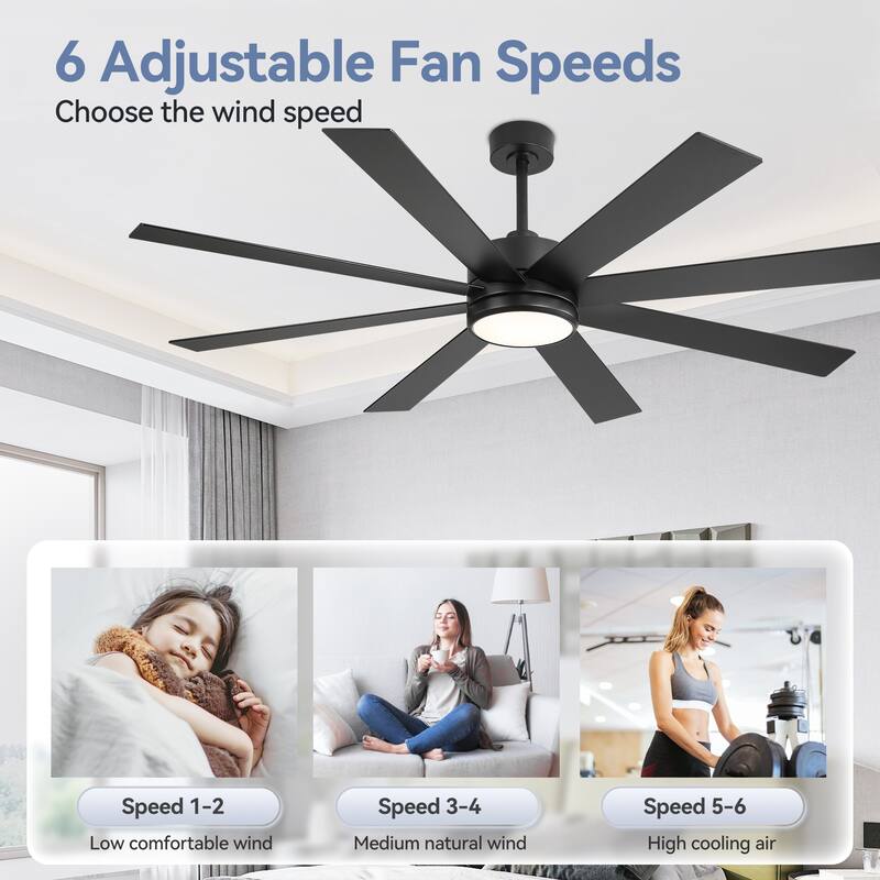65 Inch 8-Blade Black LED Ceiling Fan with Light and Remote