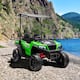 Option Green