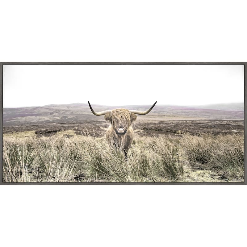 Long Horn Floater Framed Print on Canvas