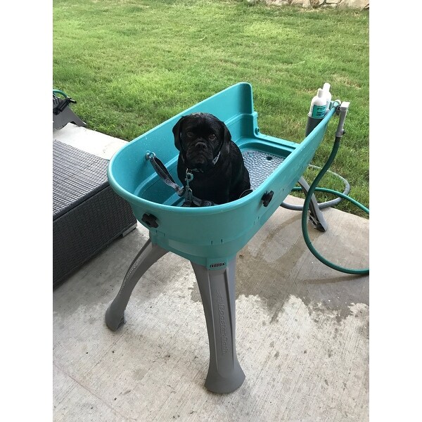 elevated dog bath