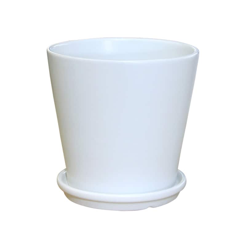 Pansy Ceramic Planter Set with Dish 2-pack - white