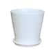Option white