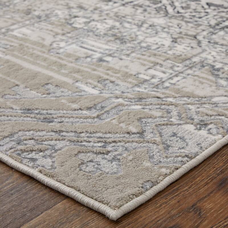 Adana R39LG Distressed Transitional Area Rug