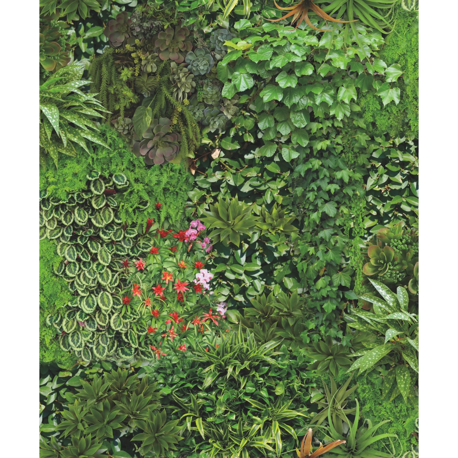 RoomMates Green & Black Living Wall Peel and Stick Wallpaper
