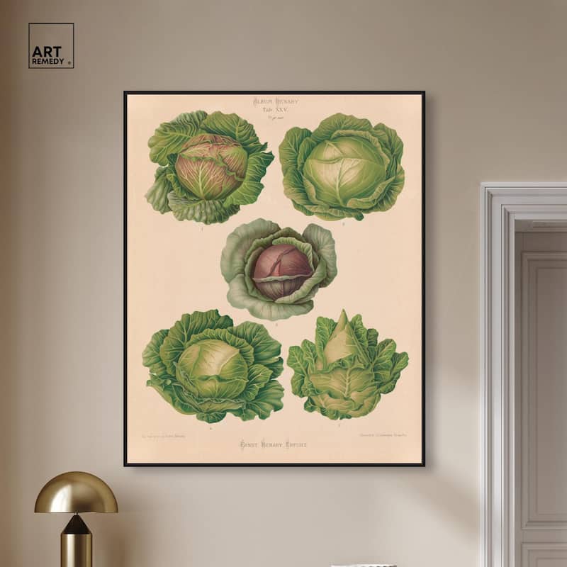 Cabbages by Benary 1876 Canvas by Art Remedy