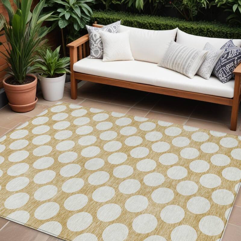 HomeRoots Polka Dot Transitional Rectangle Outdoor Rug - 10' X 14'