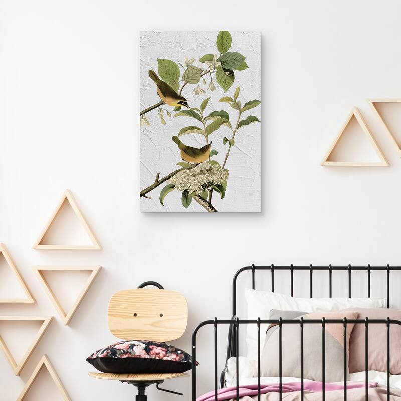 Audubon Yellow Breasted Warbler Texture by Design Lab Canvas Art Print