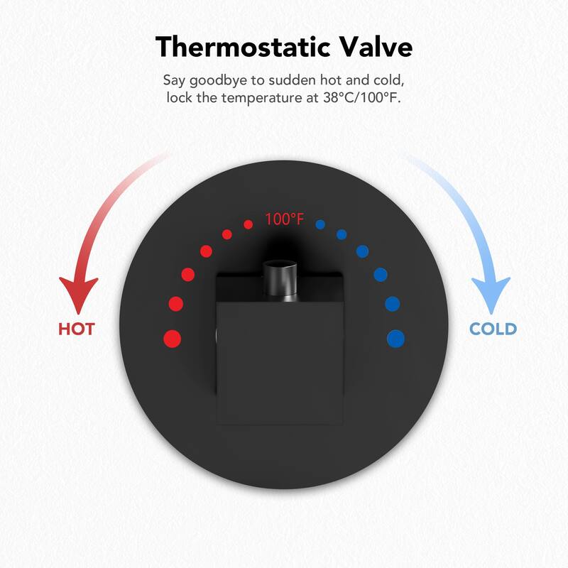 EVERSTEIN Dual Shower System 12" Rain Shower Head with High Pressure Handheld Sprays