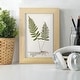 preview thumbnail 26 of 138, Nature Printed Ferns IX -Framed Print w/glass-Cherry Red