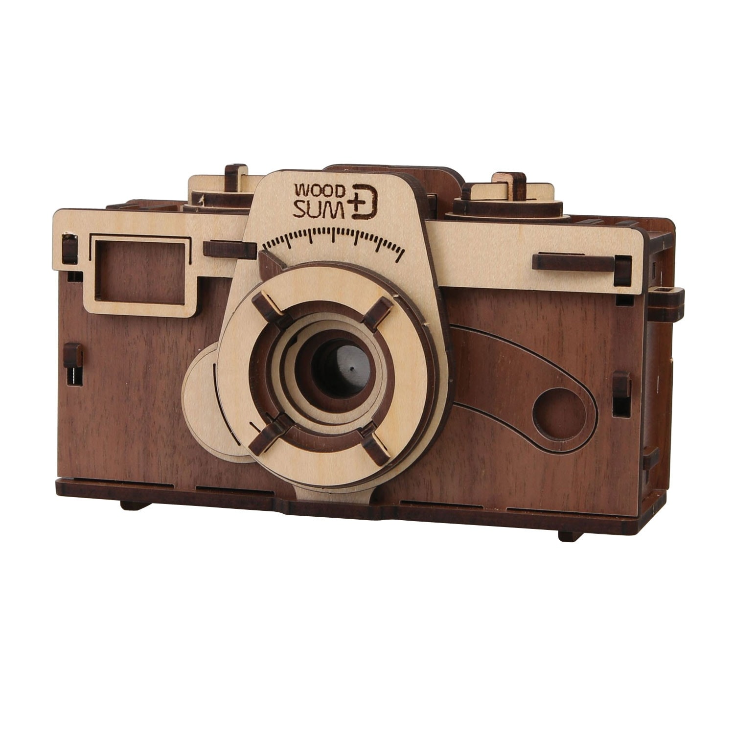 Camera definition. Пинхол камера. Фотоаппарат Pinhole из дерева. Пинхол объектив. Пинхол камера из дерева.