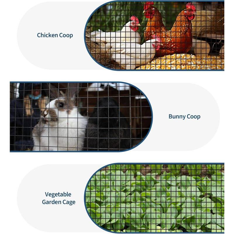 36in x 50ft 19 Gauge Galvanized Hardware Cloth, Garden Netting for Chicken Wire Fencing Roll, Black - 36in x 50ft