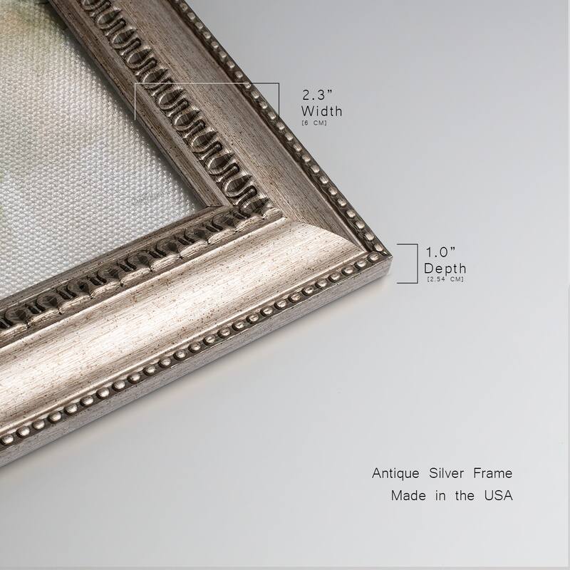 Softer Reflections Premium Framed Canvas- Ready to Hang