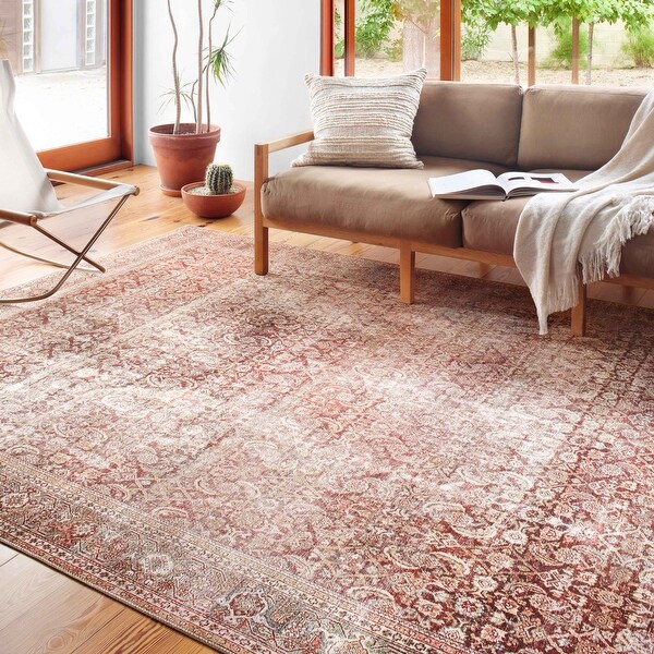 Alexander Home Isabelle Boho Vintage Distressed Printed Area Rug. Opens flyout.