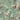 Galerie Wallcoverings City Romance Collection Green Large Floral 4-Panel Wall Mural