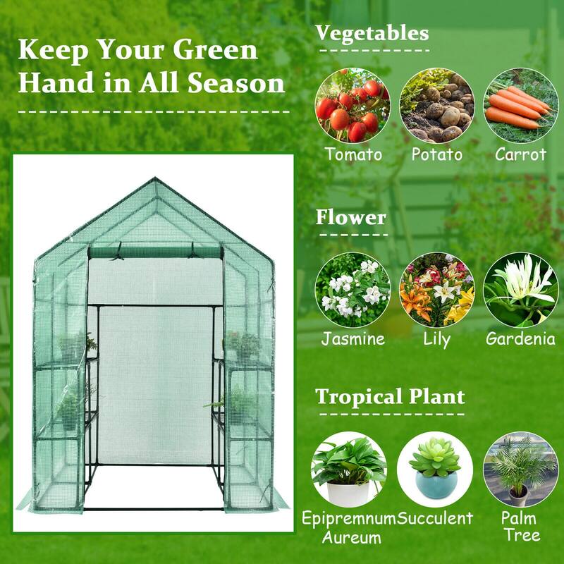 Gymax Walk-in Greenhouse 56''x56''x77'' Gardening w/Observation - See Details