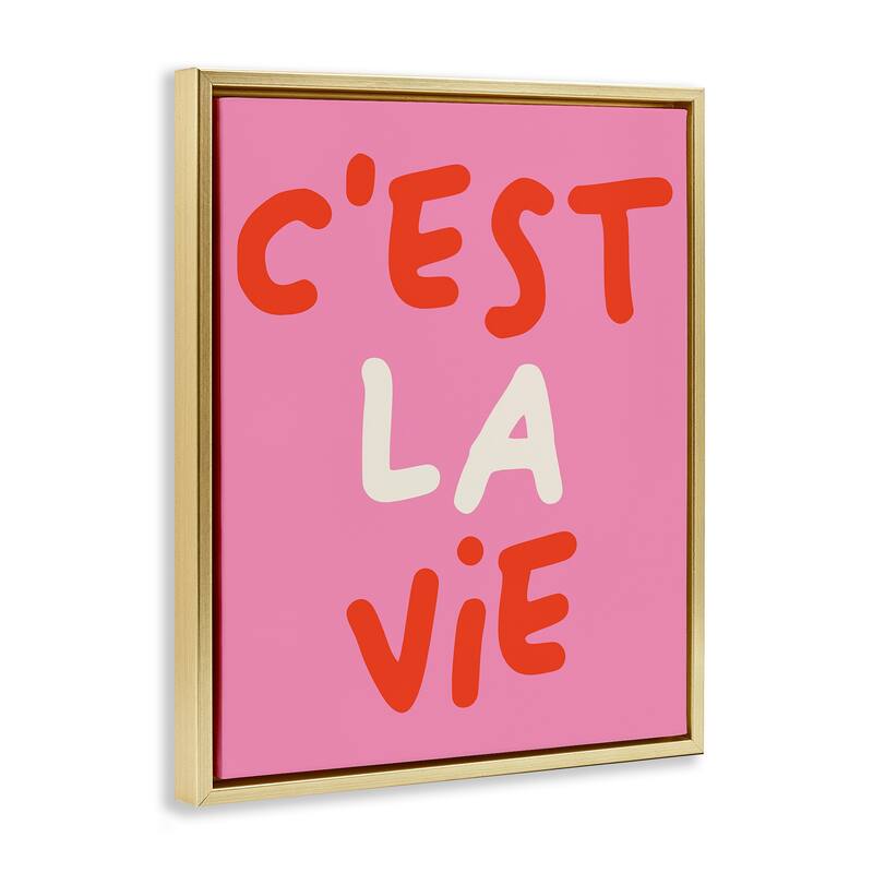 Stupell C'est La Vie on Pink Framed Floater Canvas Wall Art Design By House of Lulu