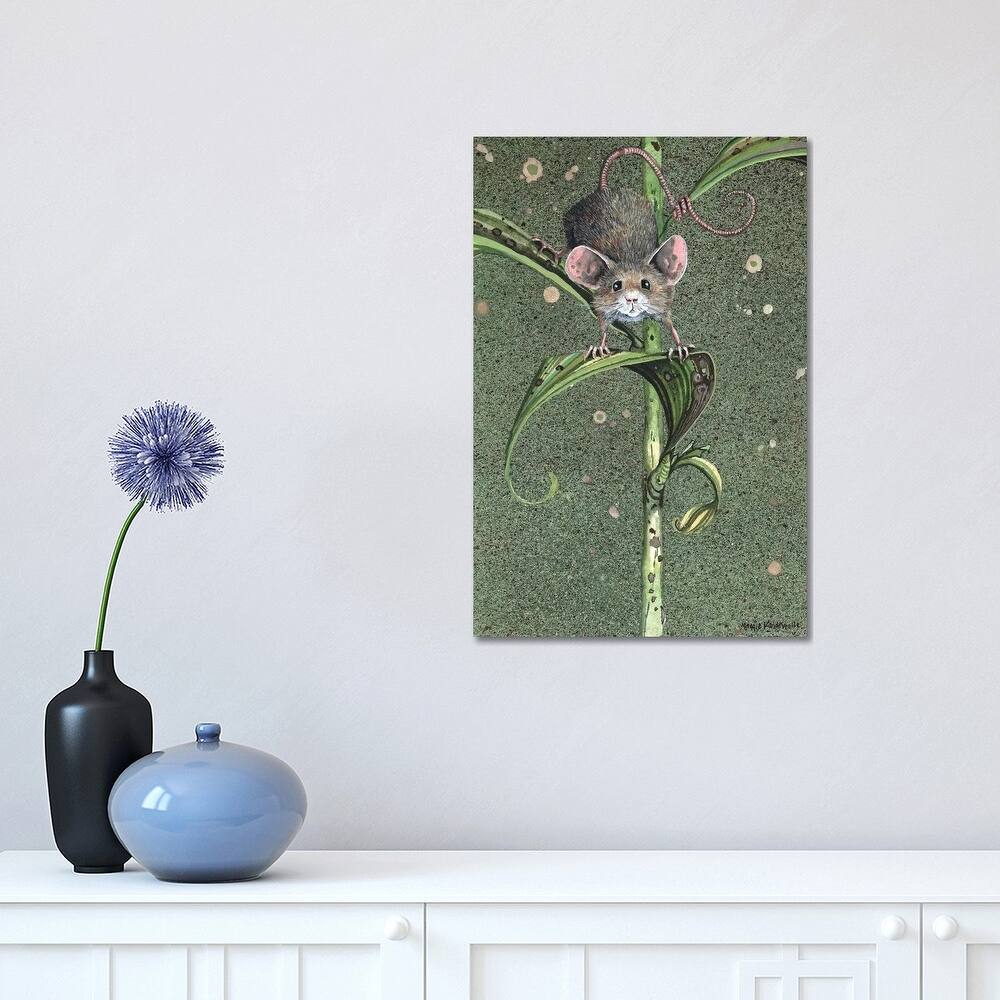 iCanvas "The Climbdown" by Maggie Vandewalle Canvas Print