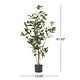 preview thumbnail 11 of 11, Atoka 5.5' x 2' Artificial Laurel Tree by Christopher Knight Home