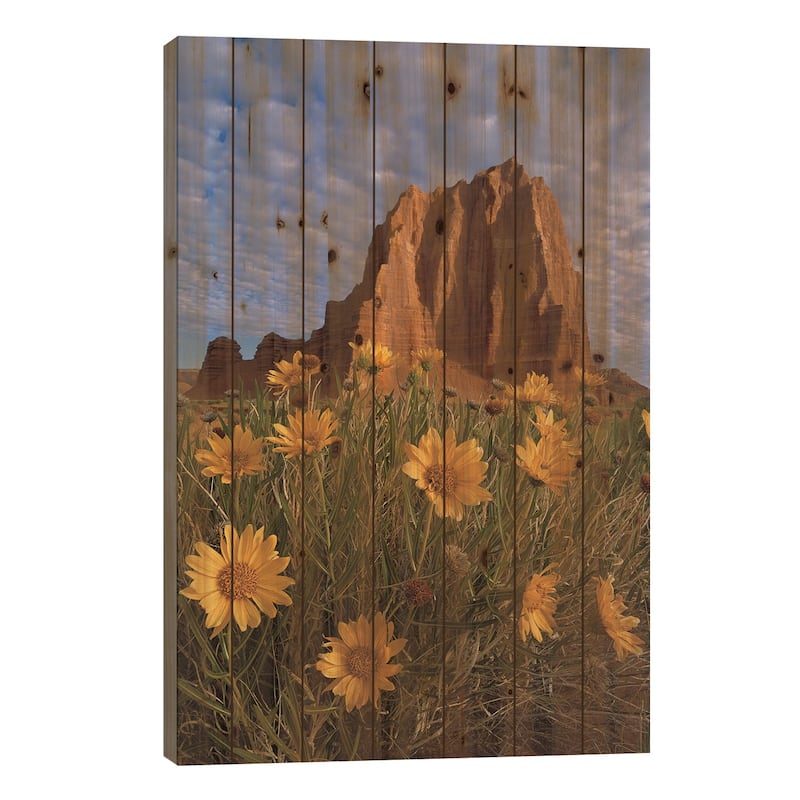 Temple Of The Sun With Sunflowers In The Foreground, Capitol Reef National Park, Utah Print On Wood by Tim Fitzharris - 26x18x1.5
