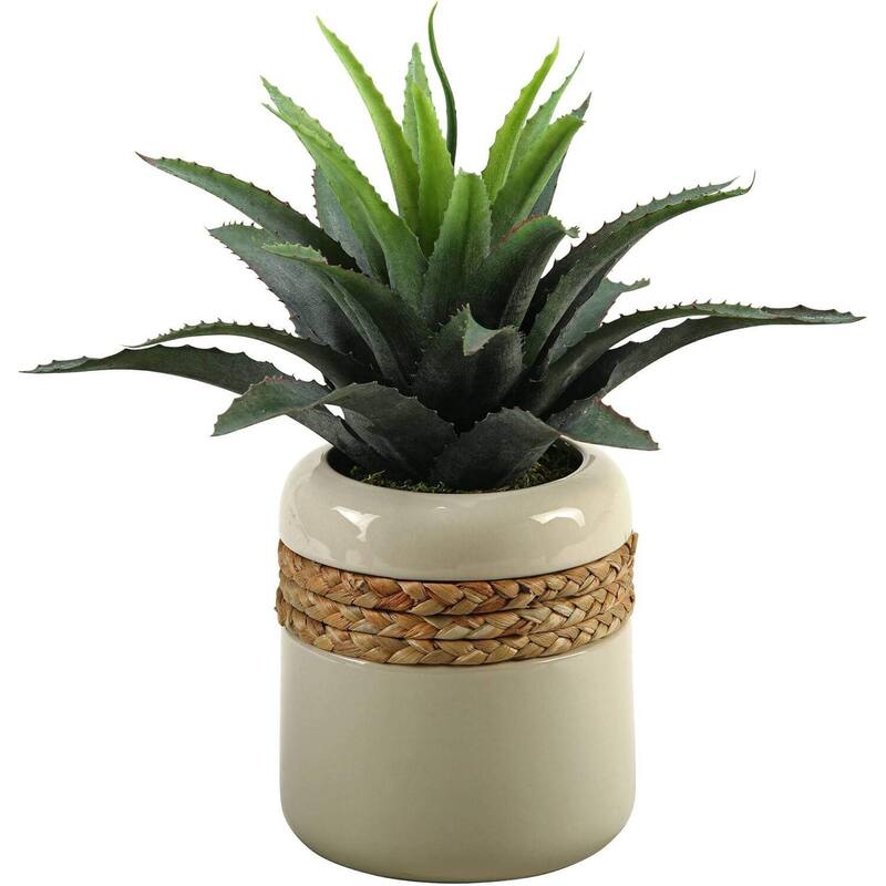 HomeStock Star Succulent in Round Ceramic Planter - Stylish Mini Faux Plant for Desks and Shelves - 14
