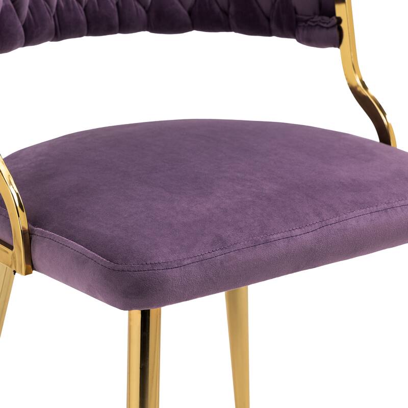 Modern Velvet Dining Chairs Set of 2