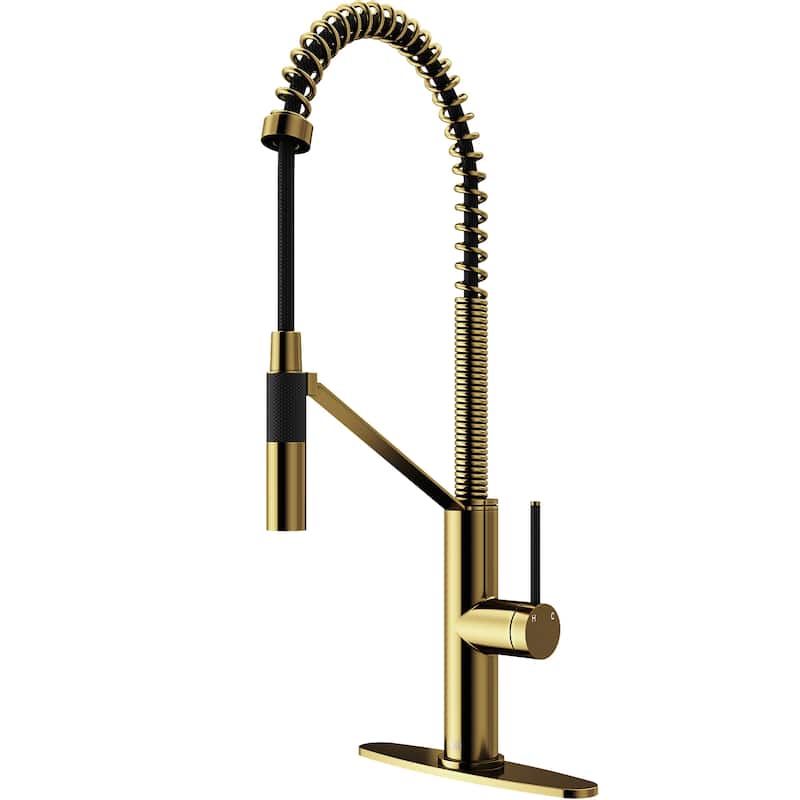 VIGO Livingston 24" H Single Handle Pull-Down Sprayer Kitchen Faucet