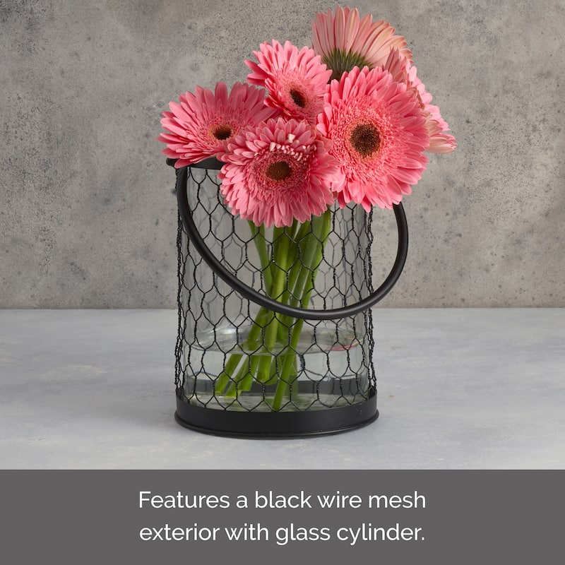 Elements Black Wire Lantern, 7X8 Inch