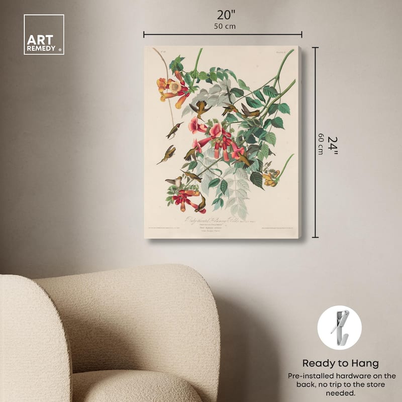Trochilus Colubris Canvas by Art Remedy, Gallery Wrapped