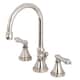 Option Polished Nickel