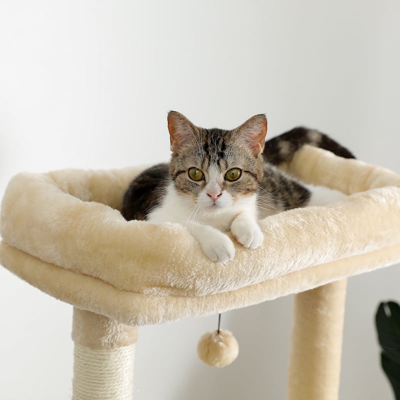 Cat Tree with Large Top Perch, Plush Hammock, 2 Condos, Dangling Pompom & Cat Scratching Posts