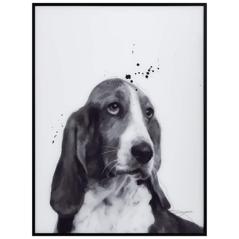 "Basset Hound" Black and White Pet Paintings on Printed Glass Encased with a Black Anodized Frame