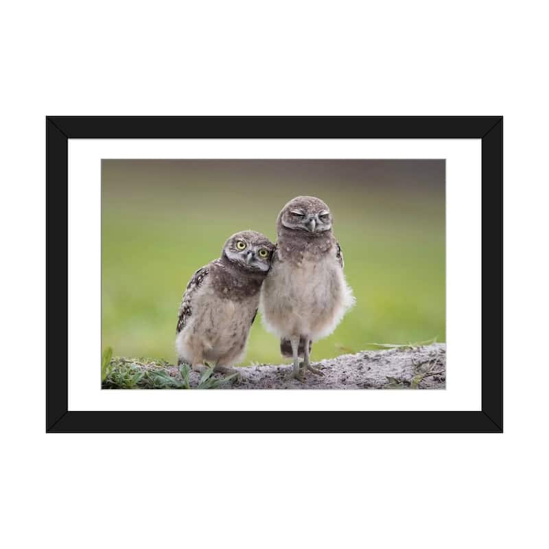 iCanvas "Friends" by Greg Barsh - Black - 24x32x1