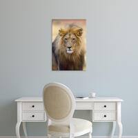 Shop Gallery Direct Lion Oversized Gallery Wrapped Canvas ... And here's to making their day the best day ever with custom photo canvas prints!