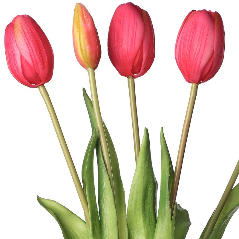 Plastic Soft Touch Tulip Bundlex5 15.25"