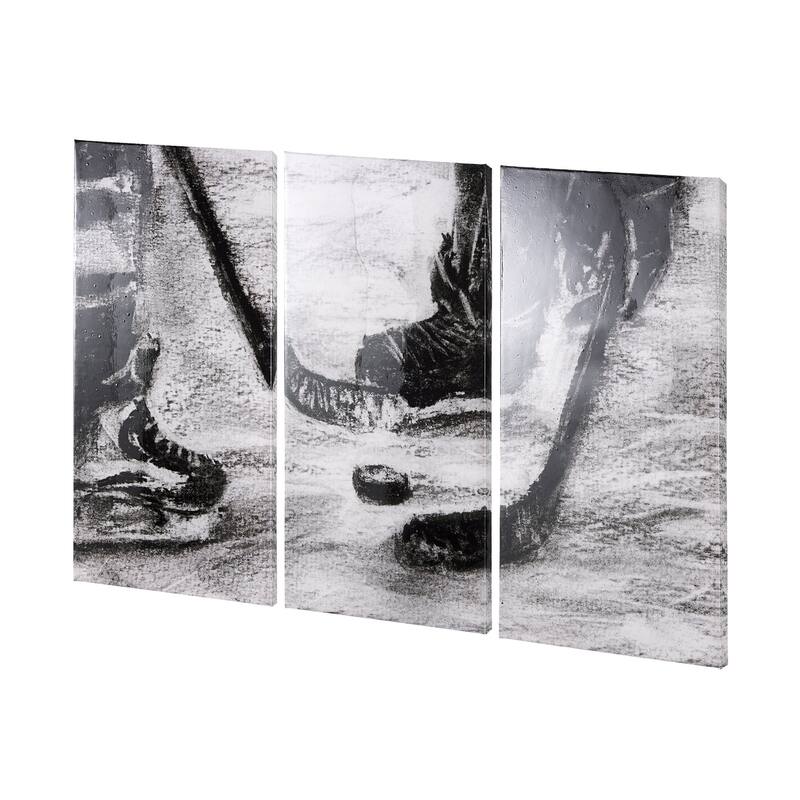 Sports Collection Hockey (Set of 3) (30 x 60) Canvas Art Print